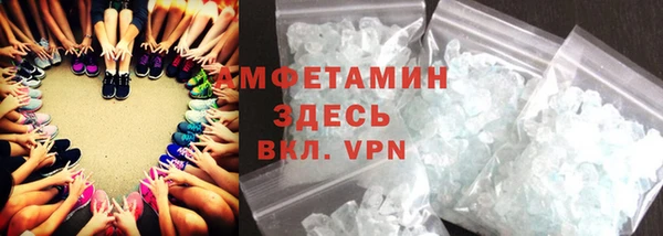 гидра Богородицк