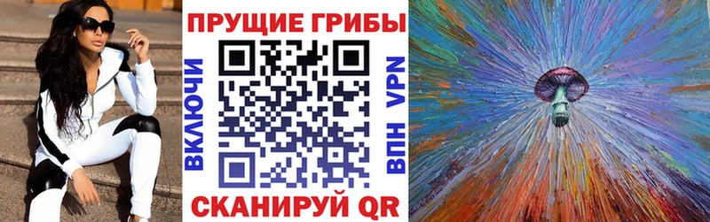 Псилоцибиновые грибы ЛСД  Мещовск 